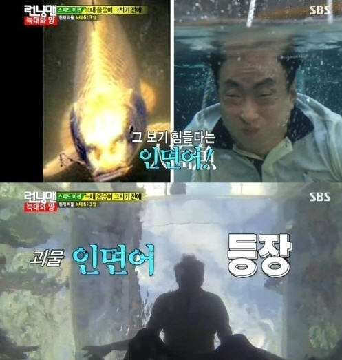 박명수(MC/가수)
개그맨 박명수가 인면어로 변신해 웃음을 안겼다.
