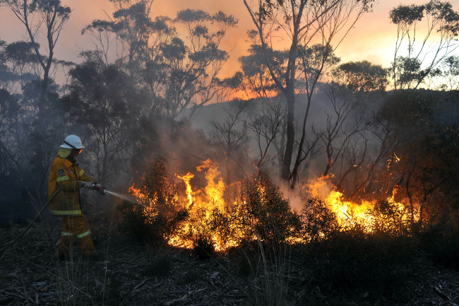 A volunteer puts out a fire in the town of Bell, Australia, Sunday.   Yonhap News