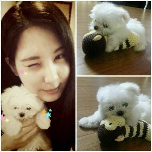 서현(서주현/가수/소녀시대/소녀시대-태티서)
한 유명 포털사이트 지식백과에서 애완견의 성격을 공개하여 화제다.