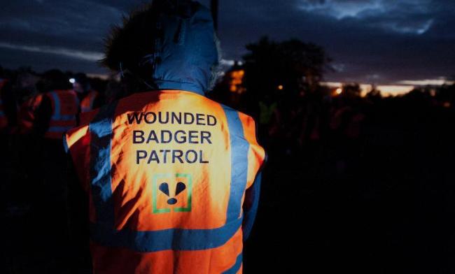 Members of the Wounded Badger Patrol prepare to walk through fields near Upleadon in Gloucestershire where a controversial badger cull is taking place.   AFP
