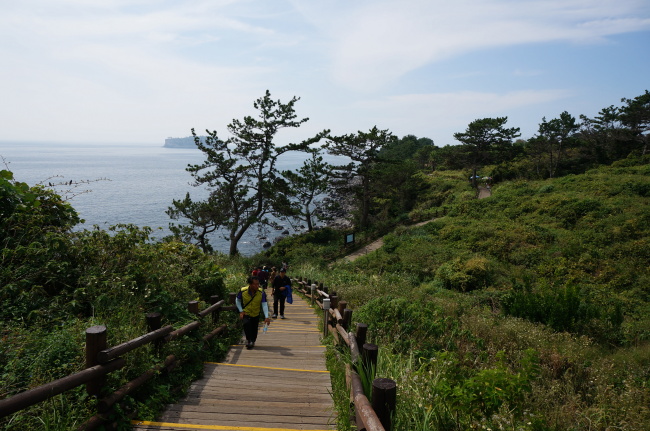 제주 올레길은 한국의 걷기 유행을 일으킨 시초로서 2007년 올레길 조성을 시작으로 전국 지자체들이 너도나도 걷기코스를 조성하게 된 계기이기도 하다.