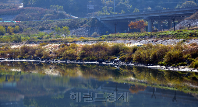외씨버선길 열셋째길에서 바라본 남한강이 굽이치고 있다.<br />영월= 김명섭 기자 msiron@heraldcorp.com
외씨버선길 열셋째길에서 바라본 남한강이 굽이치고 있다.
영월= 김명섭 기자 msiron@heraldcorp.com
외씨버선길 열셋째길에서 바라본 남한강이 굽이치고 있다.
영월= 김명섭 기자 msiron@heraldcorp.com
외씨버선길 열셋째길에서 바라본 남한강이 굽이치고 있다.
영월= 김명섭 기자 msiron@heraldcorp.com