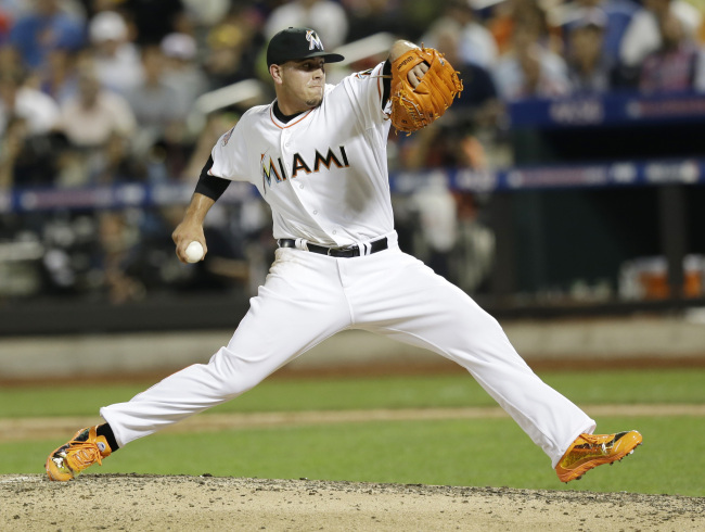 호세페르난데스(JoseFernandez/야구선수/마이애미말린스투수)
Miami Marlins pitcher Jose Fernandez went 12-6 with a 2.19 ERA and 187 strikeouts in 172 2/3 innings.   AP-Yonhap News