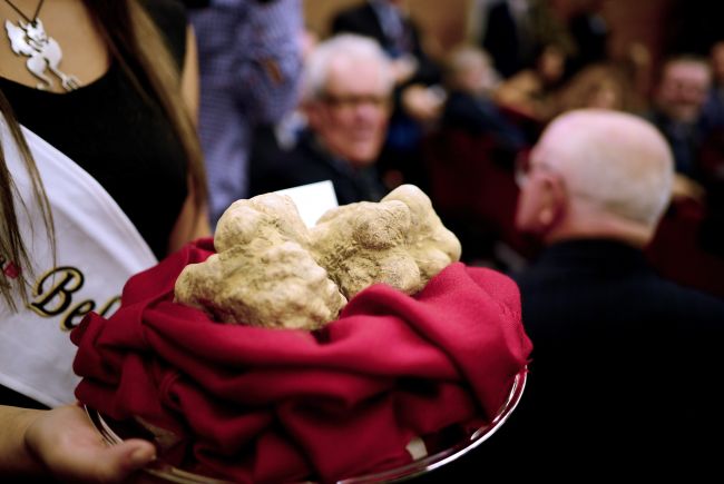 Two truffles weighing a total of 950 grams are presented to potential buyers before being sold for 90,000 euros ($120,000) to a buyer from Hong Kong during the World Alba White Truffles Auction in Grinzane Cavour in northwestern Italy on Sunday.   AFP-Yonhap News