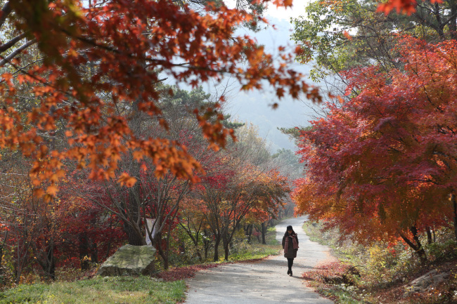 <이야기가 있는 길을 찾아서…길을 통한 문화 창조 · 발전 프로젝트> 흐르지 못하는 강…나룻배는 날마다 낡아갑니다