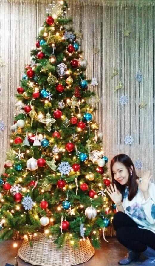 소유진(탤런트/영화배우)
소유진이 트리를 공개하며 크리스마스 분위기를 물씬 풍겼다.