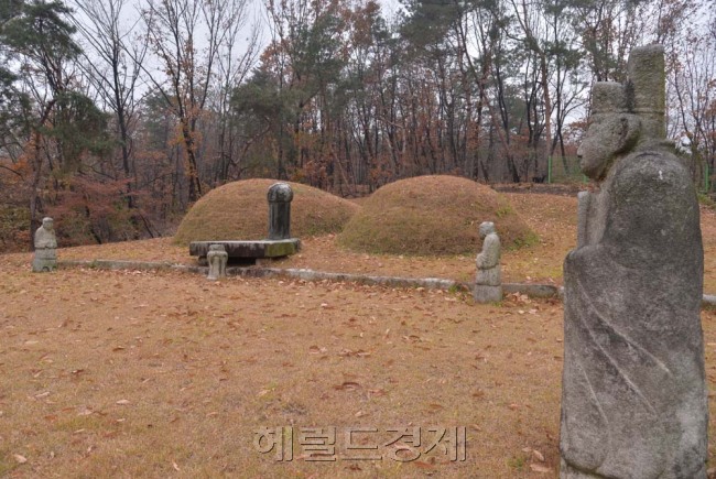 길 프로젝트<9>/(메인) 서울 도봉구의 역사문화길…연산군묘와 은행나무길