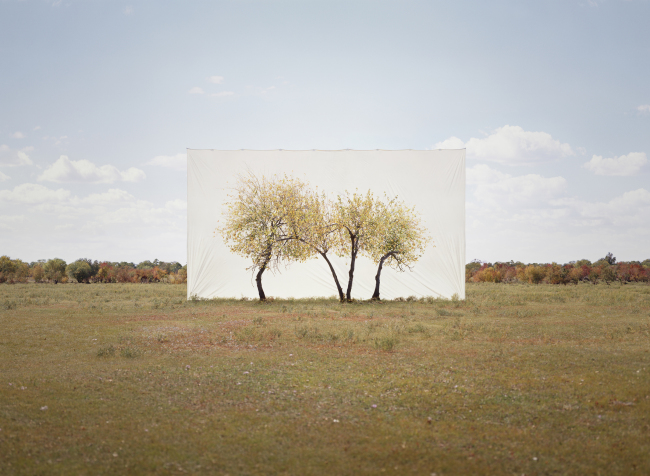 “Tree #4” (2013).   Gallery Hyundai
