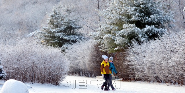서울 등 중부지방에 눈이 내린 11일 오전 서울 마포구 난지천 공원에서 시민들이 눈을 밟으며 산책을 하고 있다.<br />김명섭 기자 msiron@heraldcorp.com