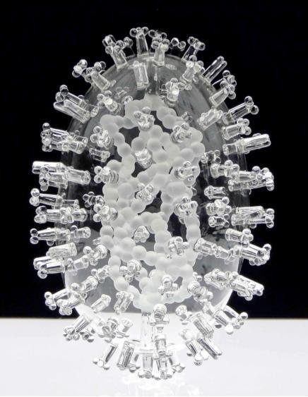 “Avian Flu” by Luke Jerram.   Craft Trend Fair