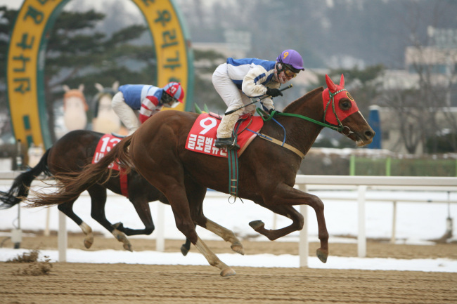 말의 해인 2014년 경마 시즌의 서막을 장식할 2014 새해맞이기념 제13회 헤럴드경제배 대상경주가 4일 서울경마공원에서 펼쳐진다. 사진은 지난해 1월 펼쳐진 제12회 헤럴드경제배 대상경주에서 우승한 조경호 기수의 ‘글로벌퓨전’이 힘차게 레이스를 펼치는 모습.