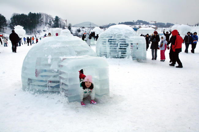대관령눈꽃축제<사진> 2014.1.3~1.12