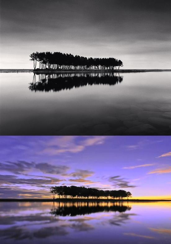 "Pine Trees" by Michael Kenna (Gallery Kong) / A captured image of the Korean Air TV commercial in 2011 (bottom)