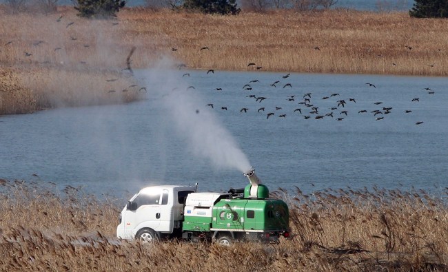 Quarantine officials take preventive measures to control bird flu in Eulsukdo, a migratory bird habitat in Busan on Monday.   Yonhap News