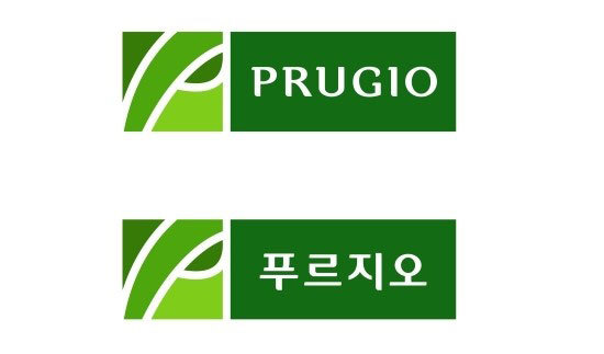 푸르지오