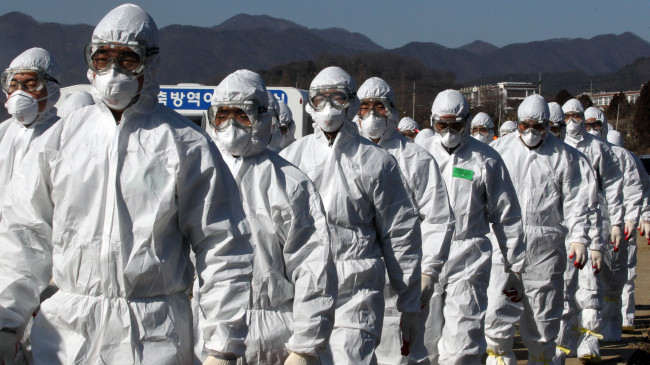 Soldiers walk into a chicken farm in Buyeo, South Chungcheong Province, to cull poultry infected with the highly pathogenic H5N8 flu strain Sunday.   Yonhap
