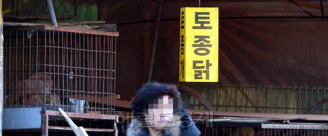 설날을 앞두고 29일 우리나라 최대 민속 5일 장터인 경기도 성남 모란시장에서 조류독감으로 닭장이 비어있다.<br />김명섭 기자 msiron@heraldcorp.com
설날을 앞두고 29일 우리나라 최대 민속 5일 장터인 경기도 성남 모란시장에서 조류독감으로 닭장이 비어있다.
김명섭 기자 msiron@heraldcorp.com