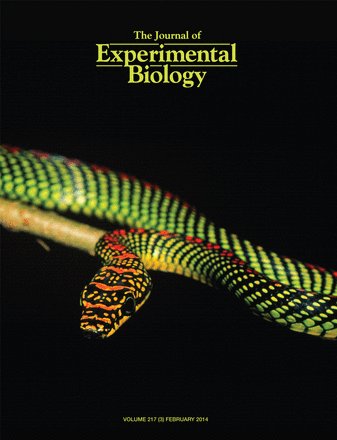 (The cover image of "The Journal of Experimental Biology" February edition.)