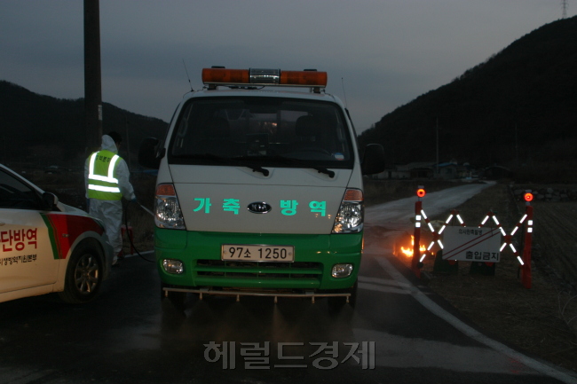 경남에서 최초로 고병원성 AI가 최종 확진된 밀양시. 공무원과 경찰이 동원돼 초동면 덕산리와 무안면 연상리를 잇는 국도를 차단하고 차량 소독활동을 벌이고 있다.  윤정희 기자/cgnhee@heraldcorp.com