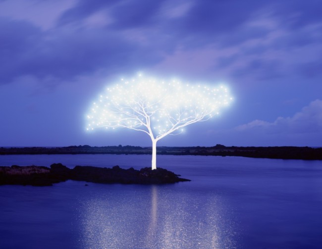 이정록 ‘Tree of Life 5-4-3’. 2013. C-type 프린트. [사진제공=신세계갤러리]