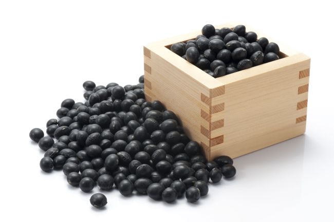검은콩 사진
