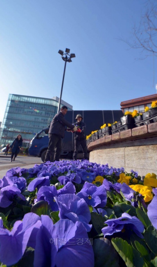 사진=김명섭 기자 msiron@heraldcorp.com