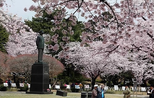 Visitors gaze at cherry blossoms in the garden of the Korean Navy Command during the 2013 Jinhae Gunhangje Festival. (Yonhap)