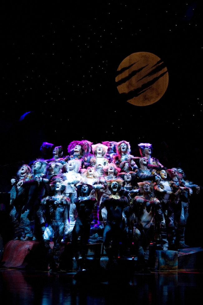 A scene from “Cats.”   Seol & Company