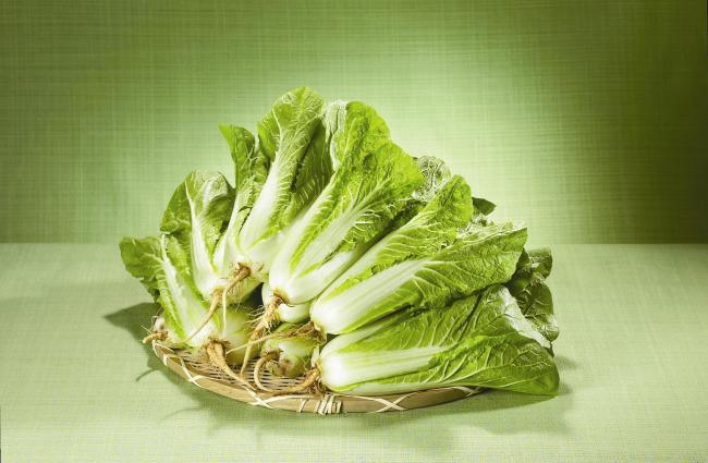 롯데마트는 오는 12일부터 19일까지 채소값 폭락으로 시름에 빠진 농가를 돕기 위해 200톤 가량 물량의 채소를 긴급 매입해 농가 돕기에 나선다. 롯데마트는 특히 최근 가격 폭락이 심한 채소 품목을 중심으로 ‘1000원 균일가’에 판매하는 행사를 진행한다.
