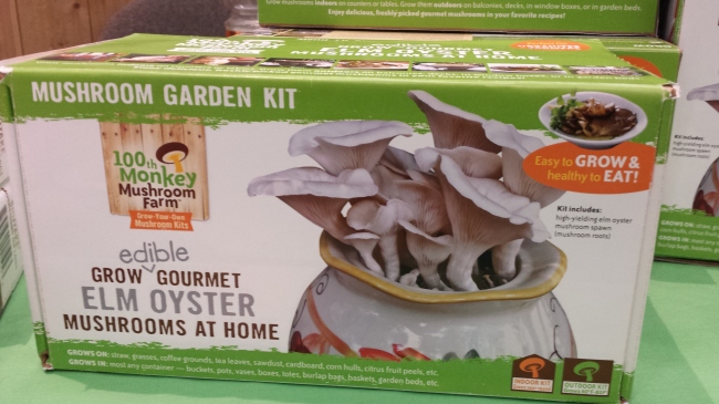 100번째 원숭이 버섯상자(100th Monkey Mushroom Kit)= ‘100번째 원숭이 효과’는 1950년대 일본 교토대 영장류 연구소 학자들이 미야지카현 원숭이들의 행태를 연구한 데서 비롯된 것으로 어떤 개체수가 일정 규모에 도달하면 물리적 공간 제약없이 행동이 급속히 확산되는 현상을 말한다. 미국의 교사 출신 부부가 버섯기르기를 세계 모든 가정에 보급하고자 회사를 만들어 여러가지 가정용 버섯재배 제품을 출시했다.