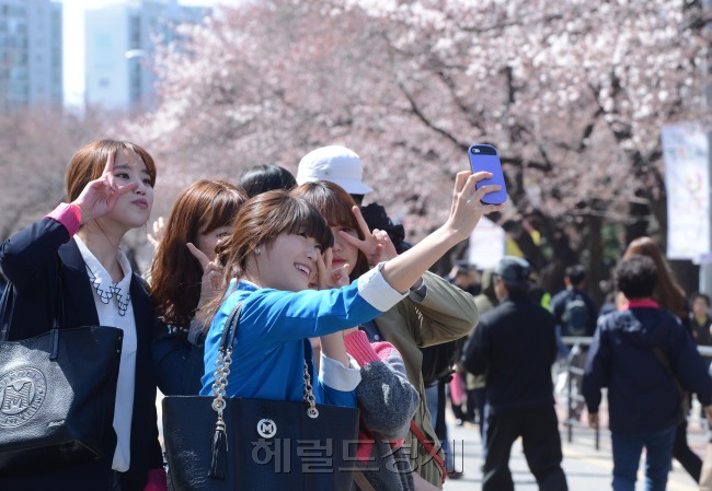 시민들이 서울 여의도 윤중로 벚꽃축제장에서 기념촬영을 하며 즐거운 시간을 보내고 있다. 윤중로 벚꽃은 다음 주말께 만개할 것으로 전망된다. /안훈기자 rosedale@ 2013.04.14
시민들이 서울 여의도 윤중로 벚꽃축제장에서 기념촬영을 하며 즐거운 시간을 보내고 있다. 윤중로 벚꽃은 다음 주말께 만개할 것으로 전망된다. /안훈기자 rosedale@ 2013.04.14