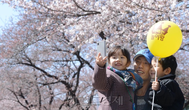 시민들이 서울 여의도 윤중로 벚꽃축제장에서 기념촬영을 하며 즐거운 시간을 보내고 있다. 윤중로 벚꽃은 다음 주말께 만개할 것으로 전망된다. /안훈기자 rosedale@ 2013.04.14
시민들이 서울 여의도 윤중로 벚꽃축제장에서 기념촬영을 하며 즐거운 시간을 보내고 있다. 윤중로 벚꽃은 다음 주말께 만개할 것으로 전망된다. /안훈기자 rosedale@ 2013.04.14
