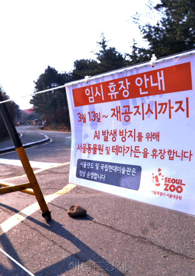 지난 9일 과천시에서 발견된 기러기 폐사체에서 H5N8 AI바이러스 양성판정이 나온 가운데 13일 재휴원에 들어간  서울동물원은 한산 하기만 하다. 또한 청계산 등산을 위해 서울대공원을  통과하는 등산객 입출입도 전면 통제 되고 있다.<br />이상섭 기자. babtong@heraldcorp.com 2014.03.14
지난 9일 과천시에서 발견된 기러기 폐사체에서 H5N8 AI바이러스 양성판정이 나온 가운데 13일 재휴원에 들어간  서울동물원은 한산 하기만 하다. 또한 청계산 등산을 위해 서울대공원을  통과하는 등산객 입출입도 전면 통제 되고 있다.
이상섭 기자. babtong@heraldcorp.com 2014.03.14
지난 9일 과천시에서 발견된 기러기 폐사체에서 H5N8 AI바이러스 양성판정이 나온 가운데 13일 재휴원에 들어간  서울동물원은 한산 하기만 하다. 또한 청계산 등산을 위해 서울대공원을  통과하는 등산객 입출입도 전면 통제 되고 있다.
이상섭 기자. babtong@heraldcorp.com 2014.03.14