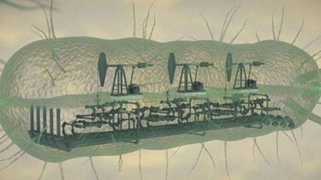 An image to illustrate biorefining (KAIST)