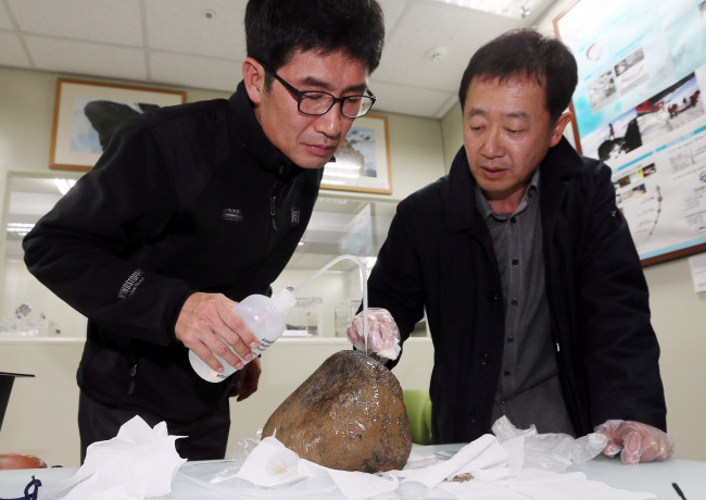Lee Jong-ik (left), a geology director at the Korea Polar Research Institute, examines a recently discovered meteorite with Choi Byeon-gak, a professor of Earth Science Education at Seoul National University, at the KPRI on Thursday. The meteorite was found in Jinju, South Gyeongsang Province, March 10.   Yonhap