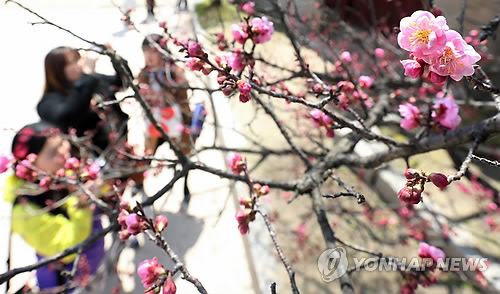 이번 주말은 맑고 쾌청한   날씨를 보일 것으로 예상된다고 기상청은 밝혔다.