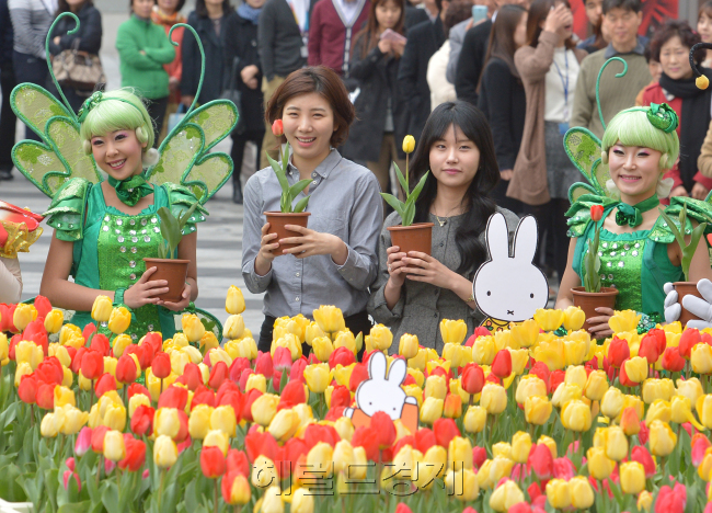 봄 축제인 ‘2014 에버랜드 튤립축제’가 다음달 27일까지 에버랜드에서 진행된다. 120만송이의 봄꽃들과 함께 네덜란드 대표 캐릭터 미피(Miffy)를 테마로 한 ‘미피의 즐거운 정원’ 등 다양한 즐길거리가 준비됐다. 앞서 에버랜드 관계자들이 튤립축제를 앞두고 서울 중구 태평로 삼성생명 빌딩 앞에서 시민들에게 튤립 화분을 나눠주고 있다.