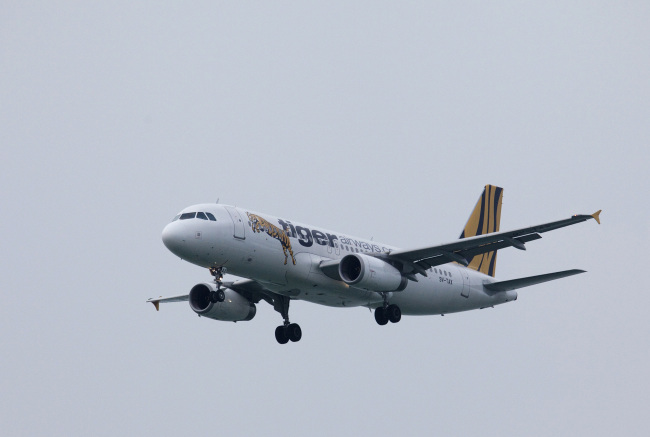 A Tiger Airways Holdings Ltd. aircraft prepares to land at Chek Lap Kok Airport in Hong Kong, China, on Sunday, Aug. 5, 2012. The number of overseas visitors to Hong Kong rose 16 percent to 22.32 million in the first six months of the year, the city뭩 tourism board said in a statement July 31. Photographer: Jerome Favre/Bloomberg
A Tigerair aircraft.   Bloomberg
A Tigerair aircraft.   Bloomberg
A Tigerair aircraft.   Bloomberg