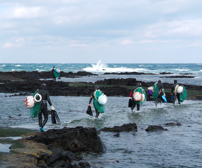 A group of haenyeo head to work carrying “tewak” and nets in the coastal village of Hado-ri on Jejudo Island.   (Haenyeo Museum)