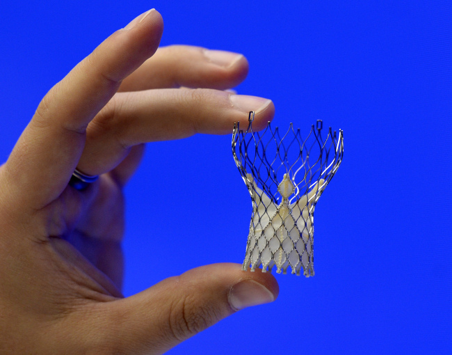 Medtronic Inc.’s CoreValve is photographed at an American College of Cardiology Conference in Washington on Saturday.    AP-Yonhap