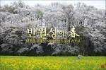 제주
전남 순천에 있는 천년 고찰 송광사를 비롯해 전국 유명 벚꽃길이 한국관광공사가 추천하는 ‘봄특집 이달의 가볼 만한 곳’으로 선정됐다.