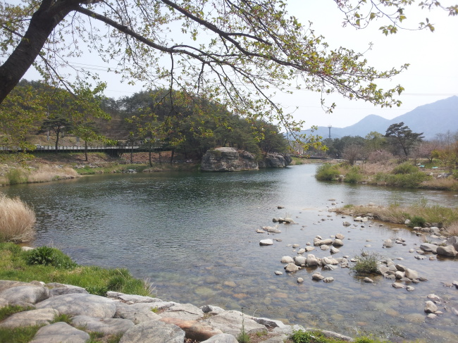 산천초목이 녹색 옷으로 갈아입고 온갖 꽃들이 화려하게 피어나는 전원의 4월 풍경