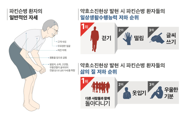 4월 11일 세계 파킨슨병의 날을 앞두고, 대한 파킨슨병 및 이상운동질환 학회가 최근 국내 파킨슨병 환자 905명을 대상으로 일상생활 수행능력과 삶의 질 지수에 대한 국내 최초 조사 결과를 발표했다.
조사결과에 따르면, 파킨슨병 환자가 치료 과정 중 ‘약효소진 현상’을 겪으면 일상생활 수행능력과 삶의 질 지수가 약효소진 현상이 나타나기 전보다 각각 10%와 11%까지 더 떨어지는 것으로 나타났다.