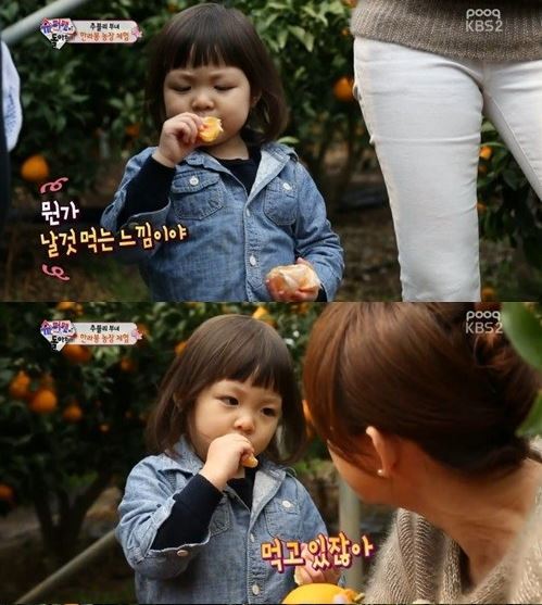 추사랑(화제인물)
추성훈 딸 추사랑이 이번엔 한라봉 ‘먹방’을 선보였다.