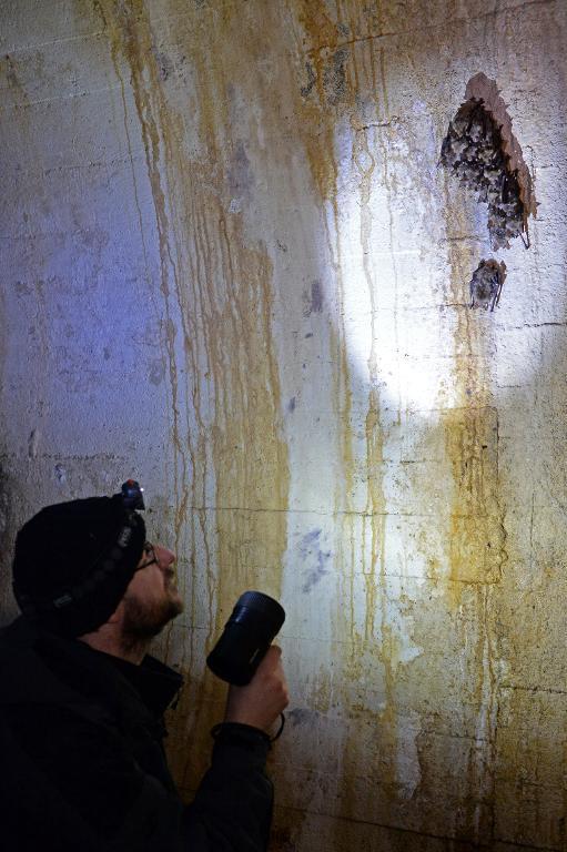 Jan Cichocki, zoologist at the University of Zielona Gora, looks at bats on a tunnel wall at the so-called Ostwall fortification, the former Nazi Germany defense line near Miedzyrzecz in western Poland.   AFP