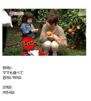 추사랑(좌부터/화제인물),야노시호(Shiho/모델)
추사랑 한라봉 먹방 오역에 시청자들이 뿔났다.
사진=온라인커뮤니티