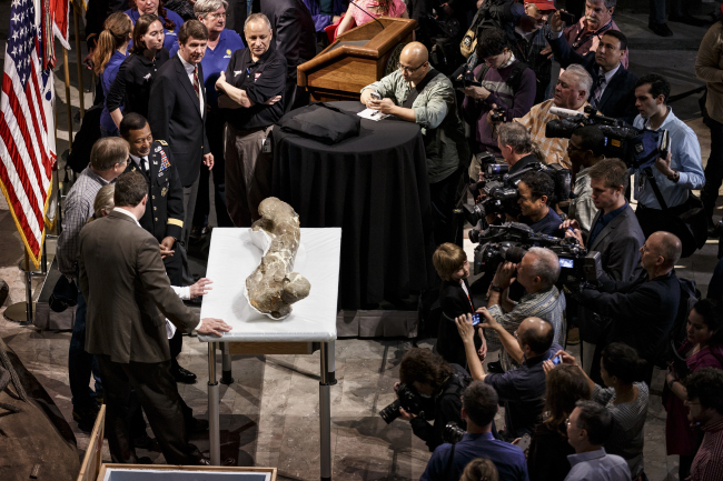Fossilized bones of a T. rex are displayed at the Smithsonian Museum of Natural History on Tuesday.
AP-Yonhap
