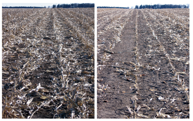 This combo photo, provided by the University of Nebraska-Lincoln, shows corn residue after grain harvest (left) and a field section where corn residue was baled and removed after grain harvest.   AP-Yonhap