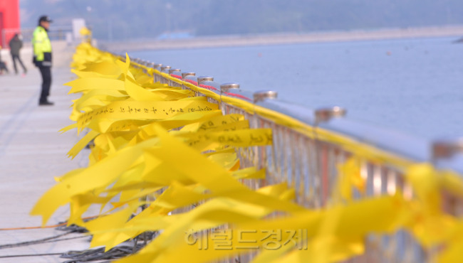 여객선 세월호 침몰 9일째인 24일 오전 전남 진도군 팽목항에 무사귀환을 바라는 노란리본이 달려져 있다.
