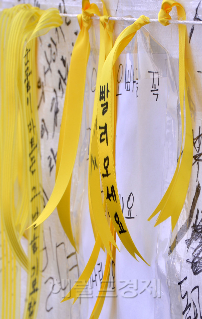 여객선 세월호 침몰 9일째인 24일 오전 전남 진도군 팽목항에 무사귀환을 바라는 노란리본이 달려져 있다.